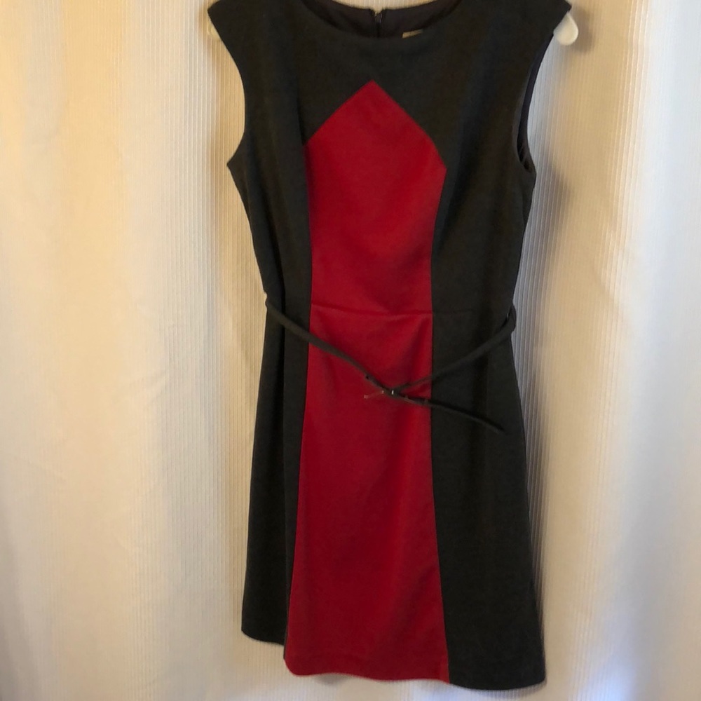 Professional dress